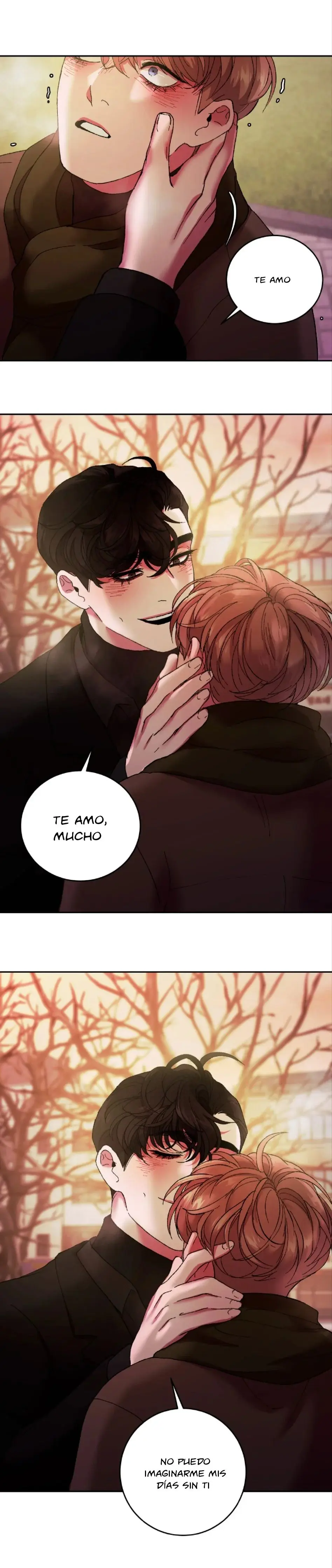 Miseria del Fantasma - Capítulo 25 - Página 25 - LectorTMOo