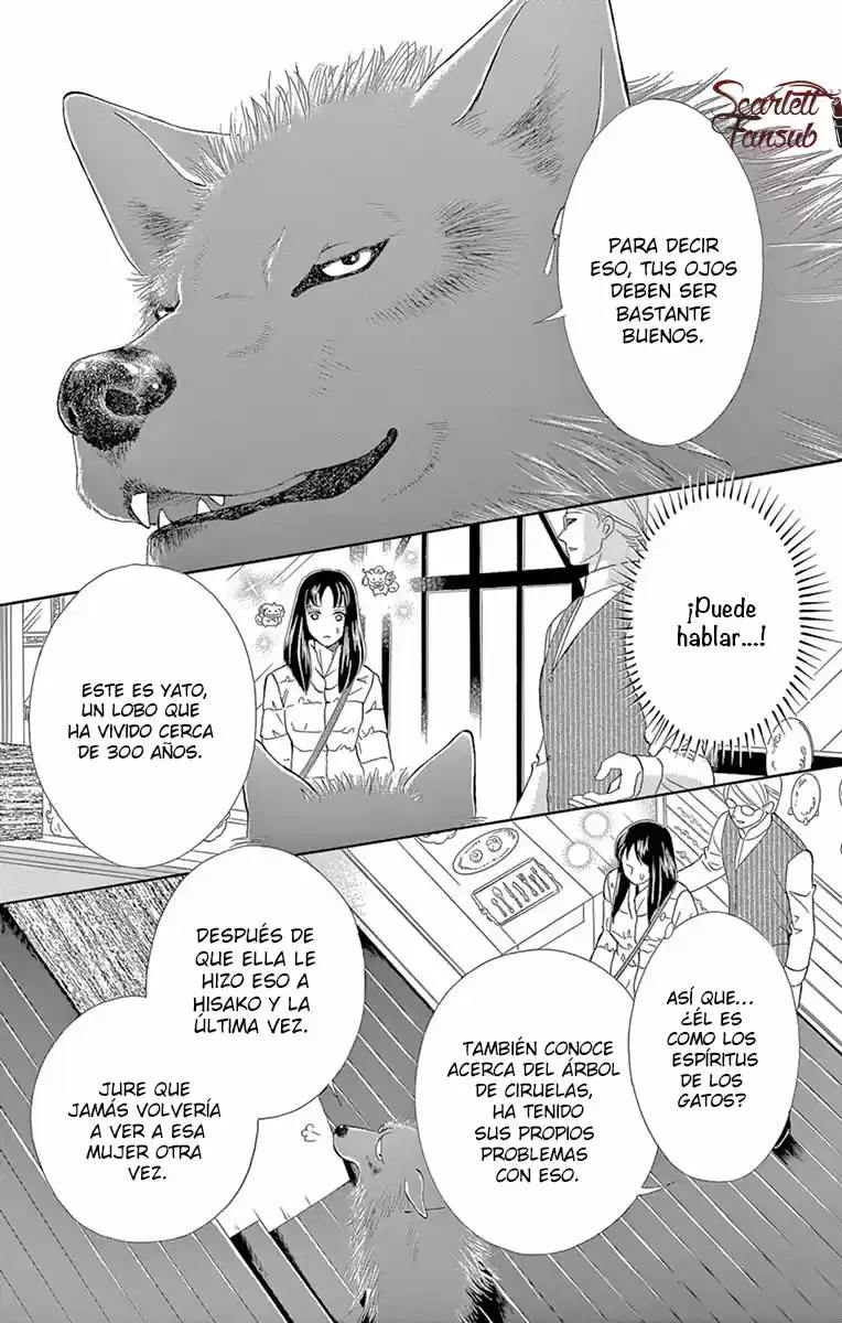 Mitsuyokon - Tsukumogami no Yomegoryou (2016) - Capítulo 19 - Página 23 - LectorTMOo