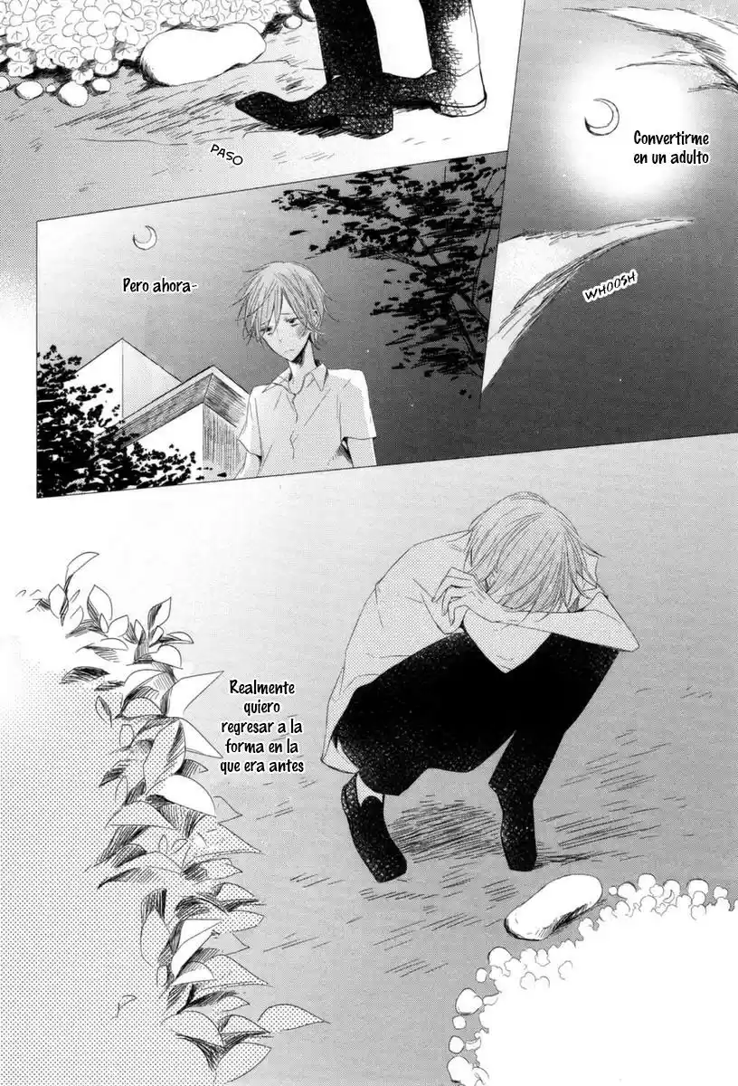 Mousou One-Room (2013) - Capítulo 5 - Página 37 - LectorTMOo