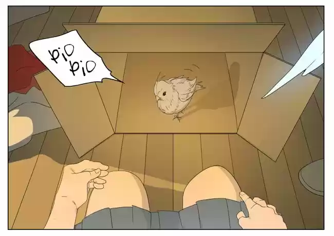 Mu You Cai Se - Capítulo 55 - Página 12 - LectorTMOo