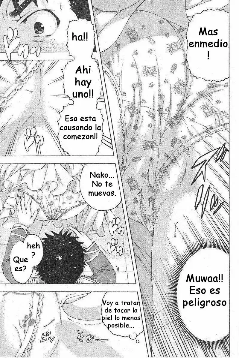 Mujaki no Rakuen (2010) - Capítulo 59.5 - Página 17 - LectorTMOo