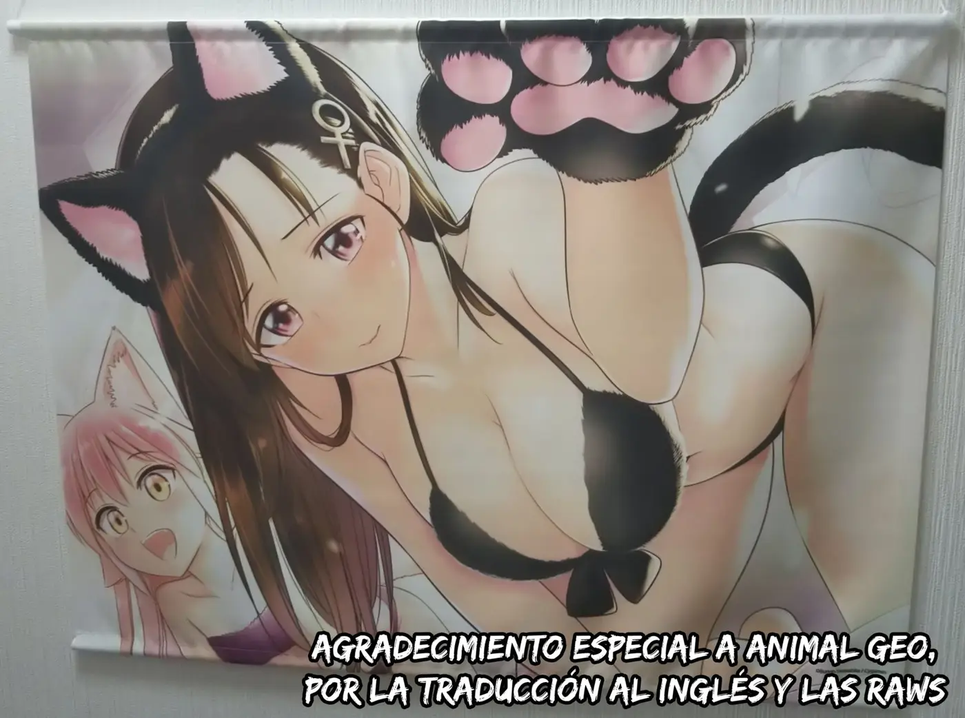 Murenase! Seton Gakuen (2016) - Capítulo 87.1 - Página 11 - LectorTMOo
