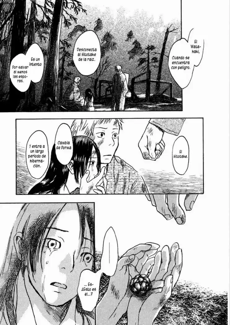 Mushishi (1999) - Capítulo 10 - Página 41 - LectorTMOo