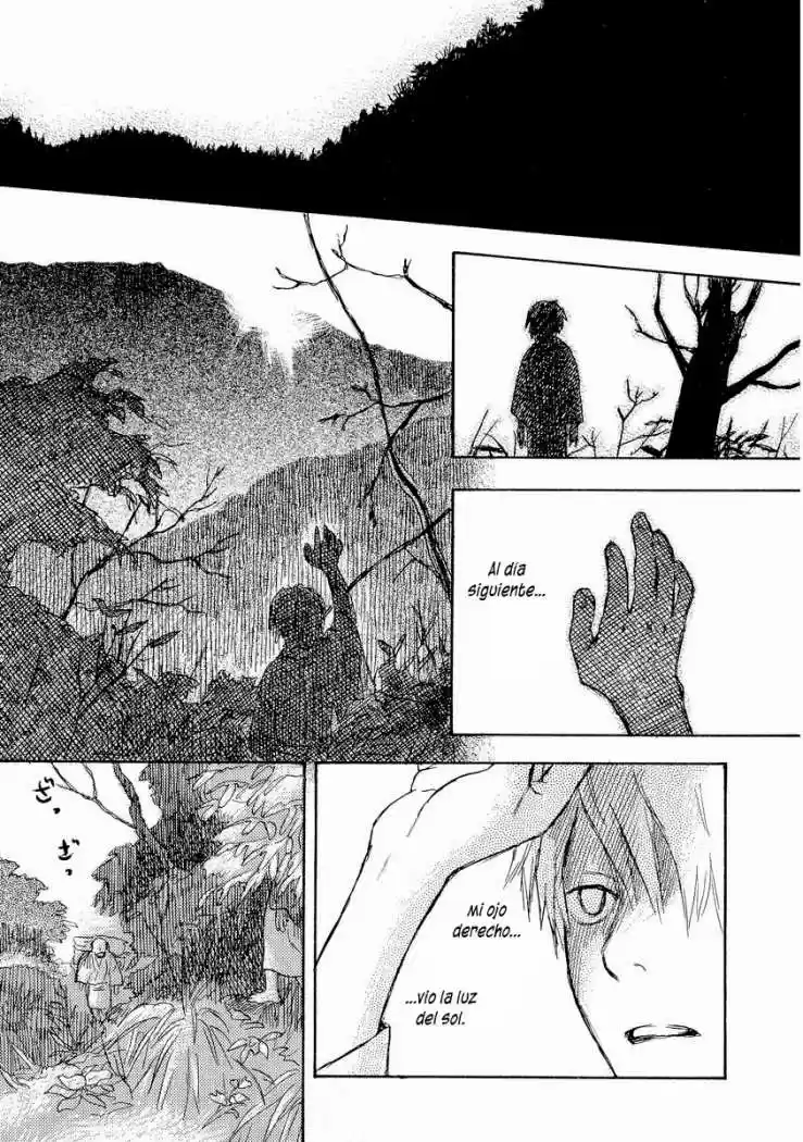 Mushishi (1999) - Capítulo 15 - Página 50 - LectorTMOo
