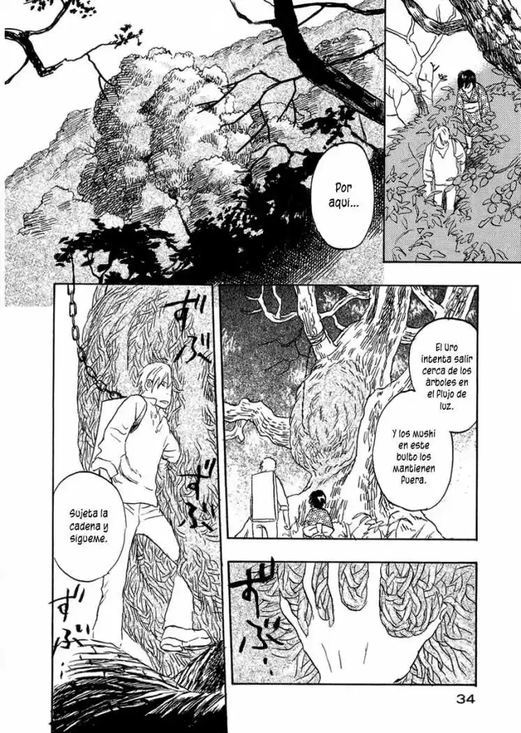 Mushishi (1999) - Capítulo 16 - Página 35 - LectorTMOo