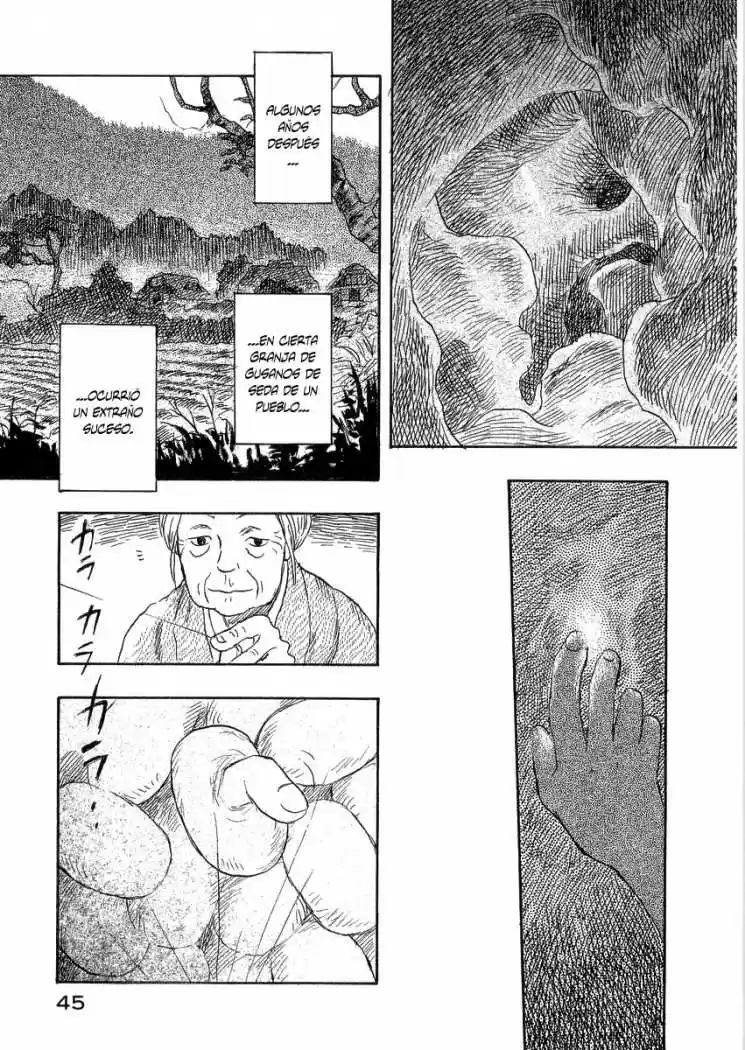 Mushishi (1999) - Capítulo 16 - Página 44 - LectorTMOo