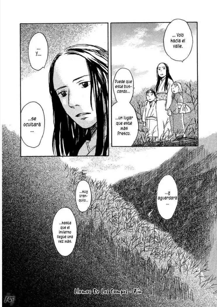 Mushishi (1999) - Capítulo 24 - Página 49 - LectorTMOo