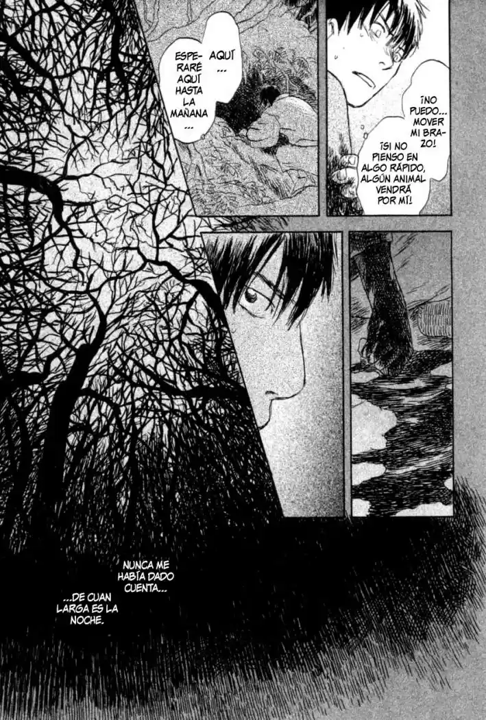 Mushishi (1999) - Capítulo 28 - Página 37 - LectorTMOo