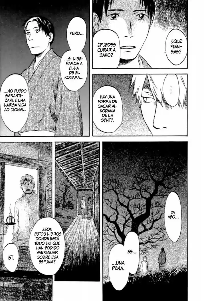 Mushishi (1999) - Capítulo 31 - Página 30 - LectorTMOo