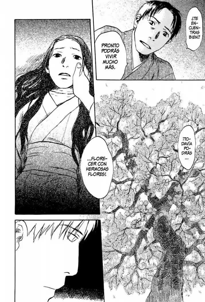 Mushishi (1999) - Capítulo 31 - Página 35 - LectorTMOo