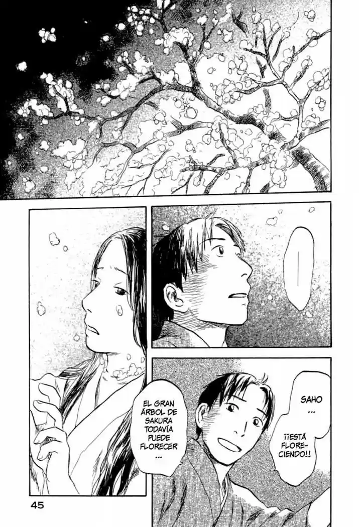 Mushishi (1999) - Capítulo 31 - Página 44 - LectorTMOo