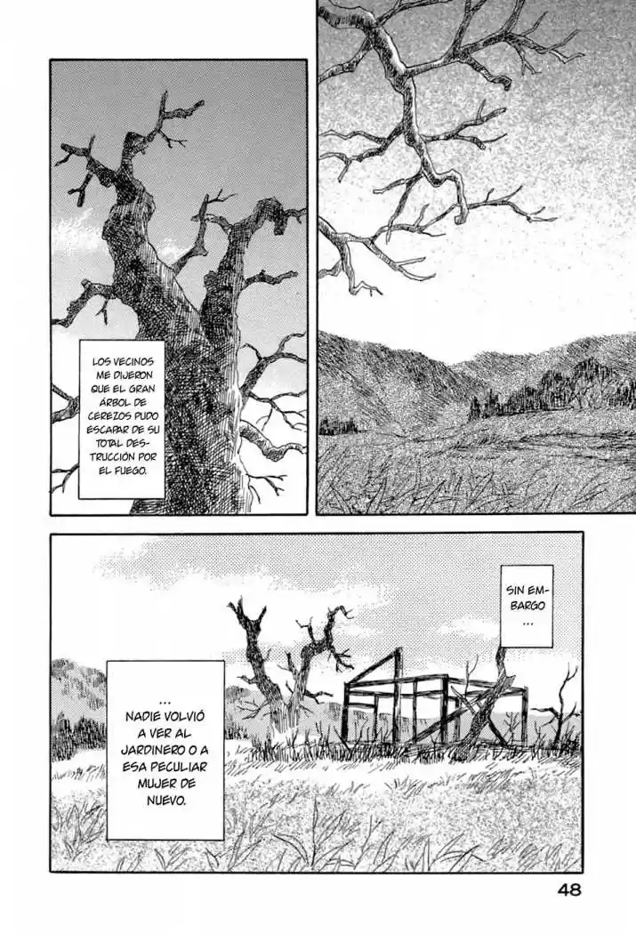 Mushishi (1999) - Capítulo 31 - Página 47 - LectorTMOo