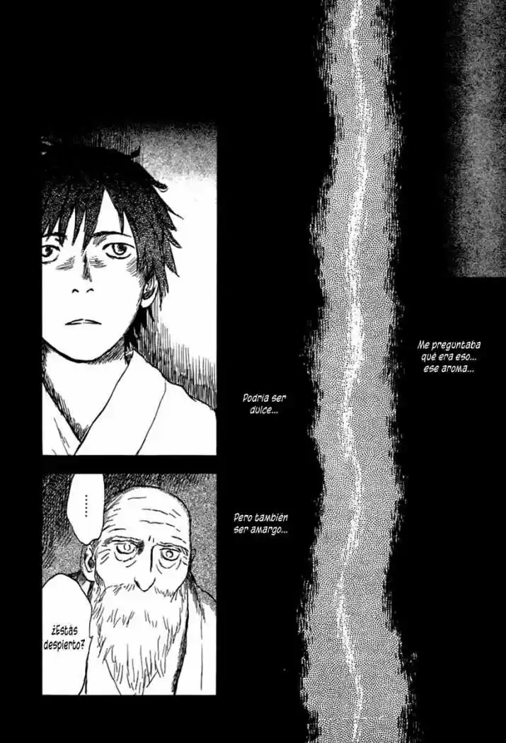 Mushishi (1999) - Capítulo 34 - Página 29 - LectorTMOo