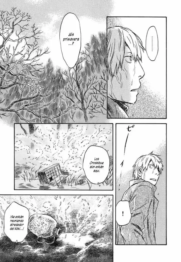 Mushishi (1999) - Capítulo 37 - Página 29 - LectorTMOo