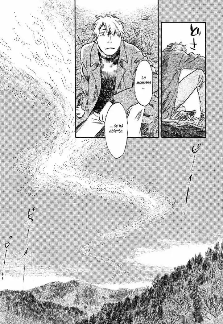 Mushishi (1999) - Capítulo 37 - Página 31 - LectorTMOo