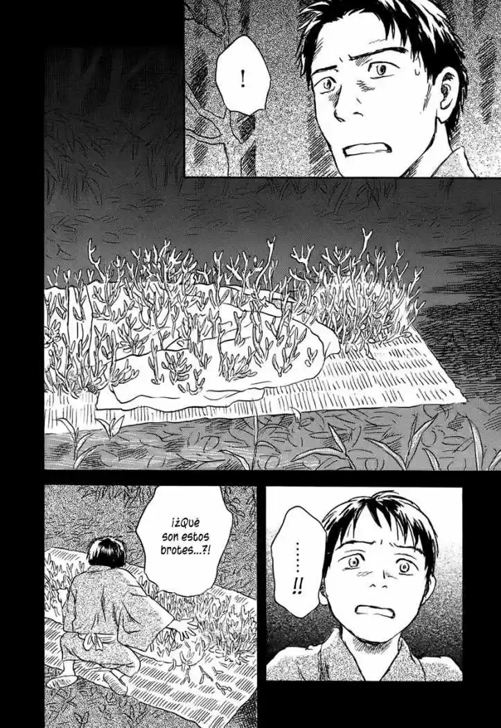 Mushishi (1999) - Capítulo 40 - Página 14 - LectorTMOo
