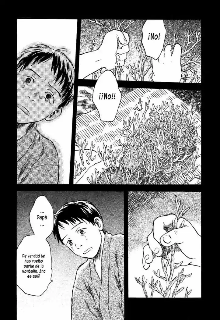 Mushishi (1999) - Capítulo 40 - Página 15 - LectorTMOo