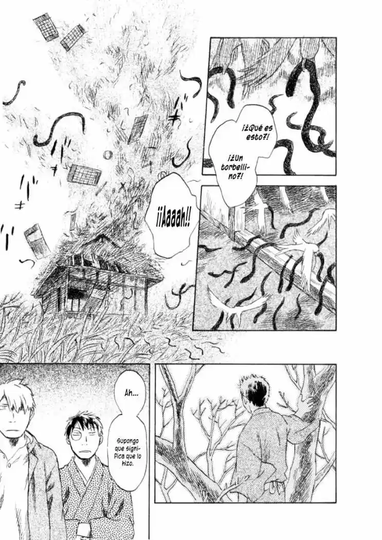 Mushishi (1999) - Capítulo 42 - Página 41 - LectorTMOo