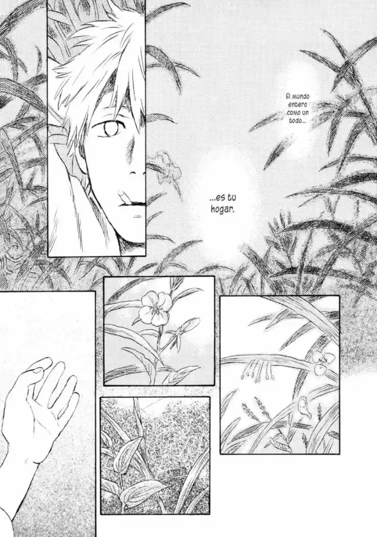 Mushishi (1999) - Capítulo 45 - Página 45 - LectorTMOo