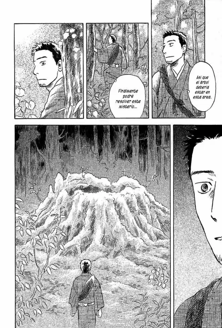 Mushishi (1999) - Capítulo 47 - Página 13 - LectorTMOo