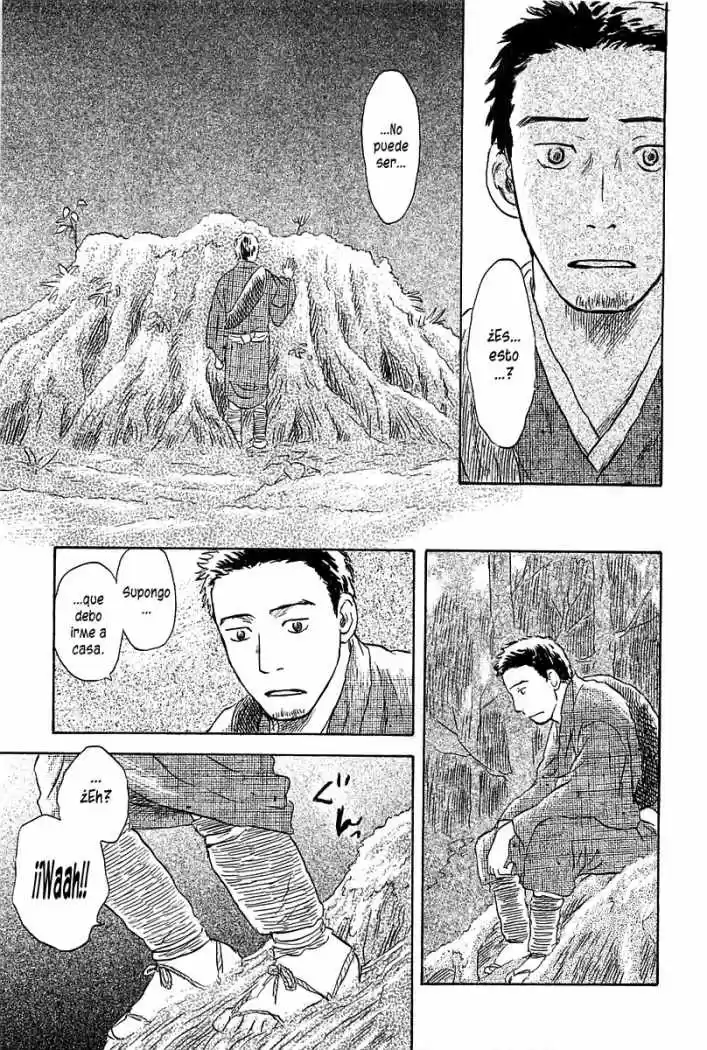 Mushishi (1999) - Capítulo 47 - Página 14 - LectorTMOo