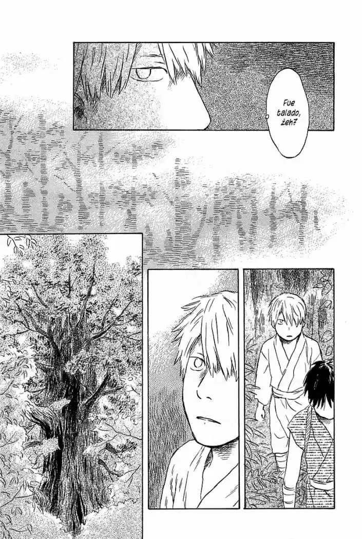 Mushishi (1999) - Capítulo 47 - Página 22 - LectorTMOo
