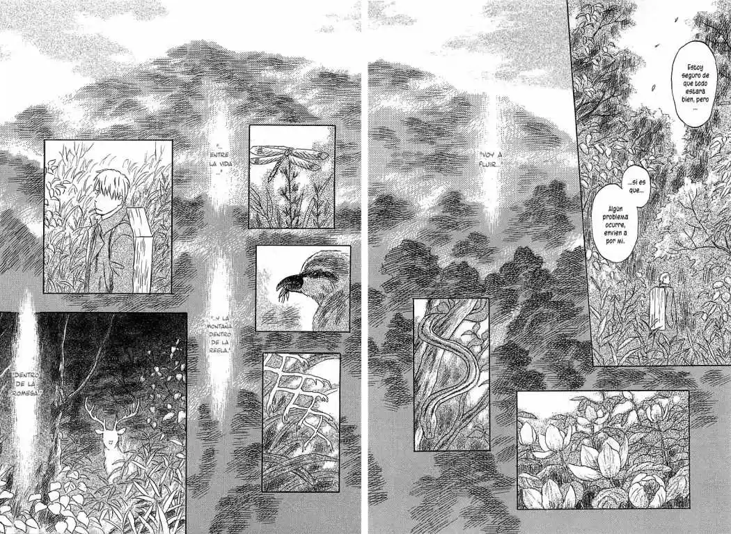 Mushishi (1999) - Capítulo 50 - Página 47 - LectorTMOo