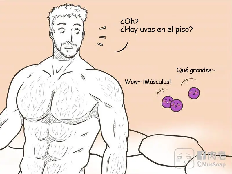 MusSoap (2016) - Capítulo 52 - Página 5 - LectorTMOo