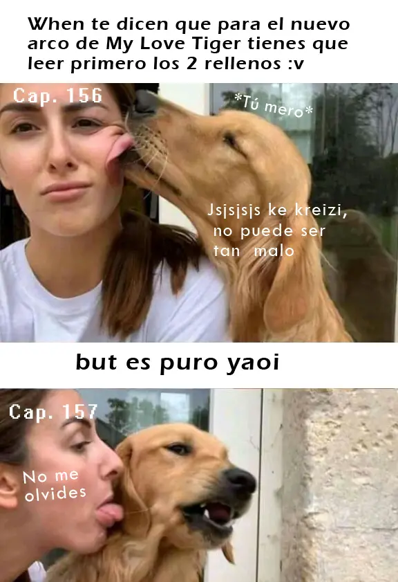 My Love Tiger (2014) - Capítulo 157 - Página 17 - LectorTMOo