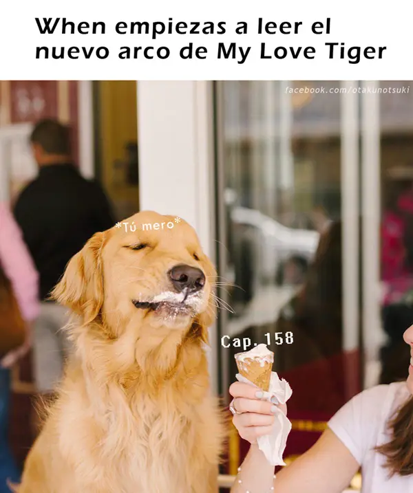 My Love Tiger (2014) - Capítulo 158 - Página 19 - LectorTMOo