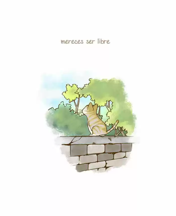 My young cat and my old dog (2011) - Capítulo 44 - Página 7 - LectorTMOo