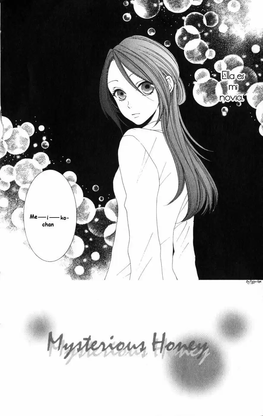 Mysterious Honey (2008) - Capítulo 7 - Página 3 - LectorTMOo