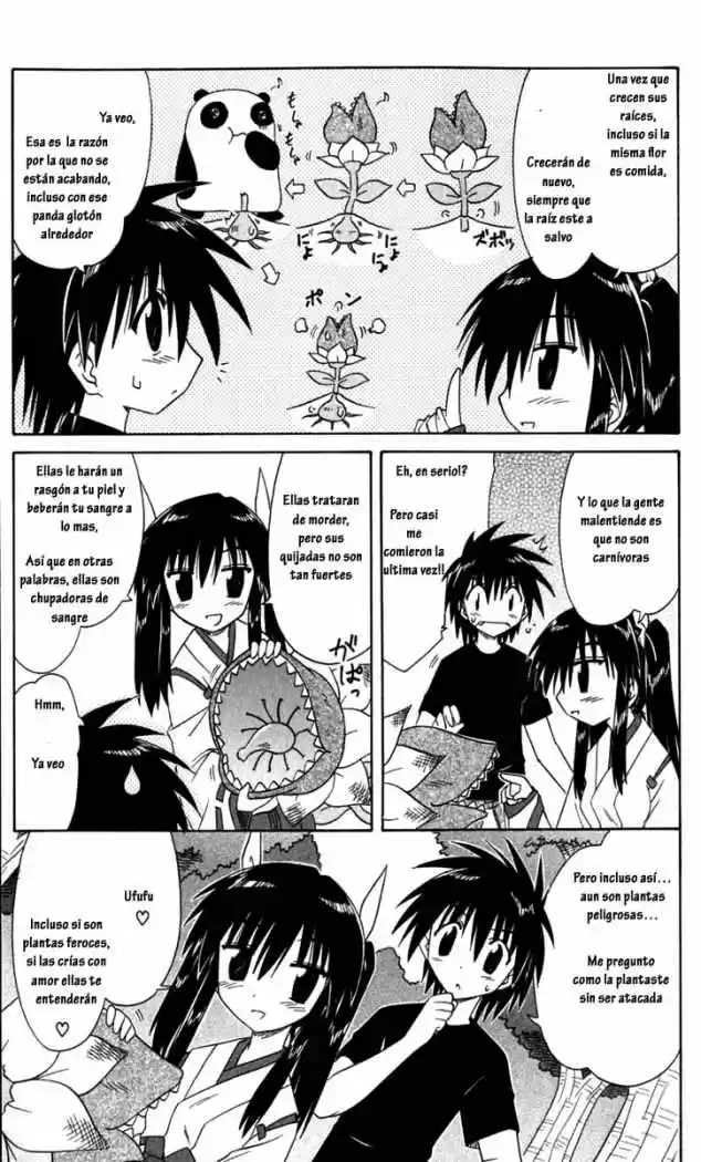 Nagasarete Airantou (2002) - Capítulo 52 - Página 37 - LectorTMOo