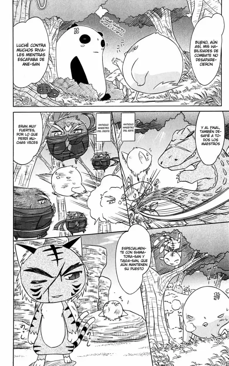 Nagasarete Airantou (2002) - Capítulo 76 - Página 13 - LectorTMOo