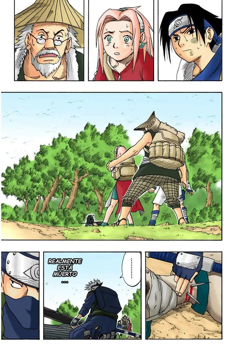 Naruto Color (1999) - Capítulo 16 - Página 3 - LectorTMOo