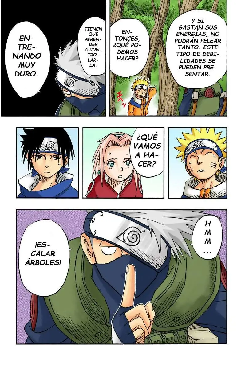 Naruto Color (1999) - Capítulo 17 - Página 19 - LectorTMOo