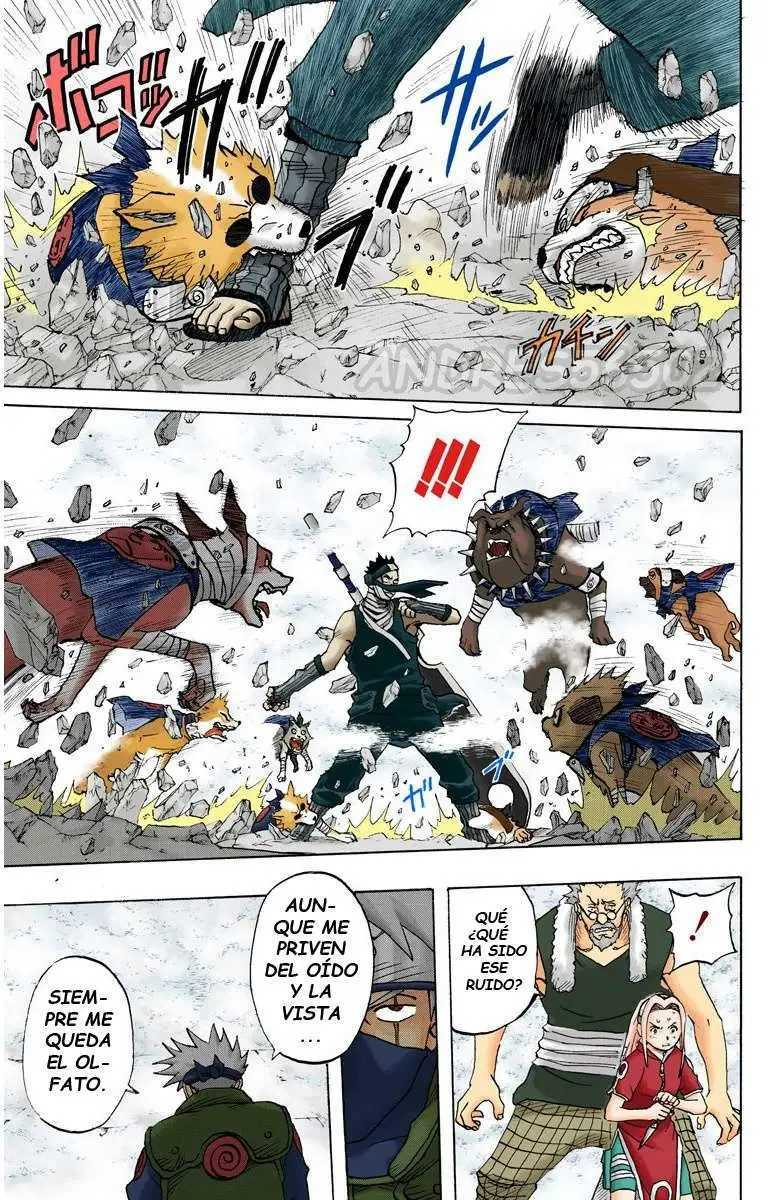 Naruto Color (1999) - Capítulo 29 - Página 17 - LectorTMOo