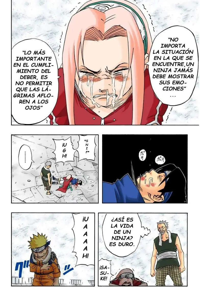 Naruto Color (1999) - Capítulo 31 - Página 14 - LectorTMOo