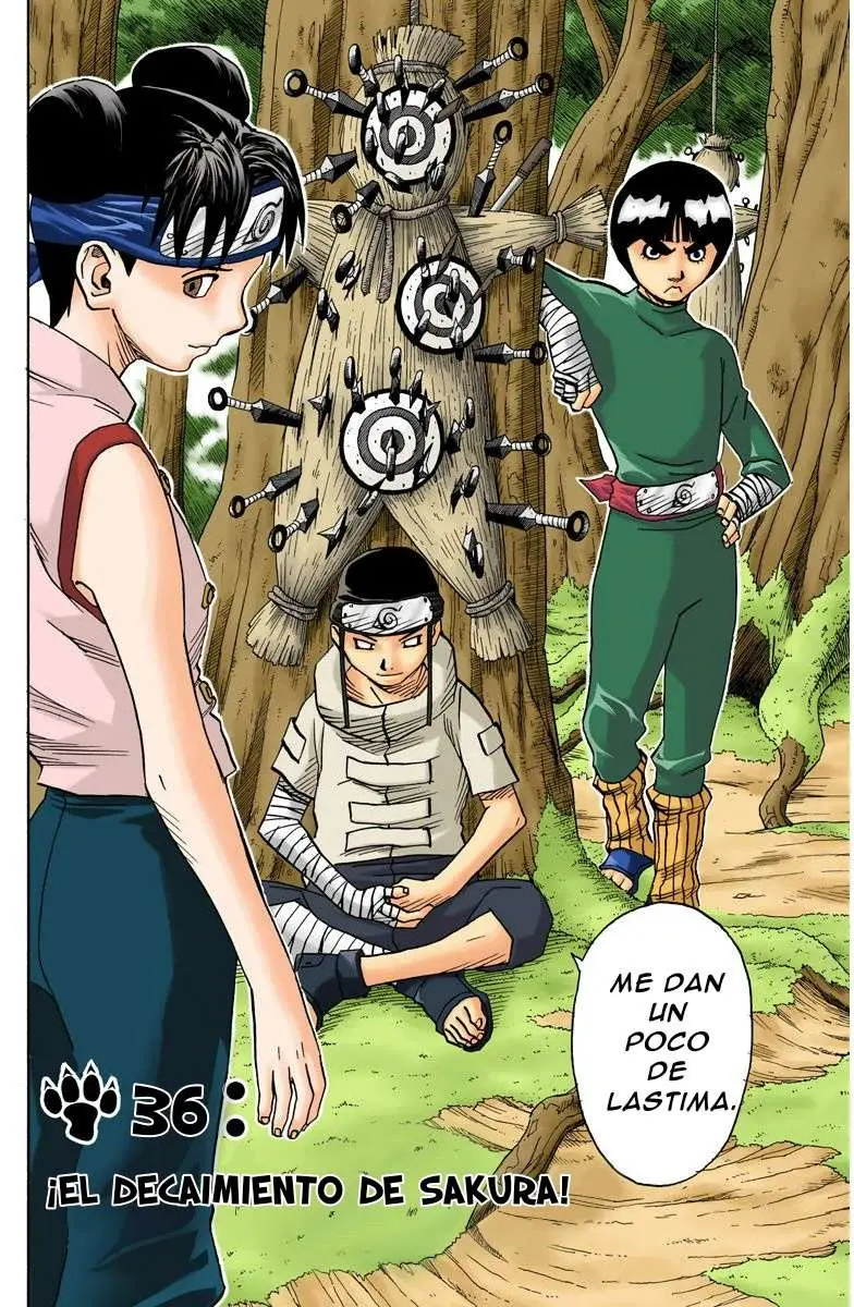 Naruto Color (1999) - Capítulo 36 - Página 2 - LectorTMOo