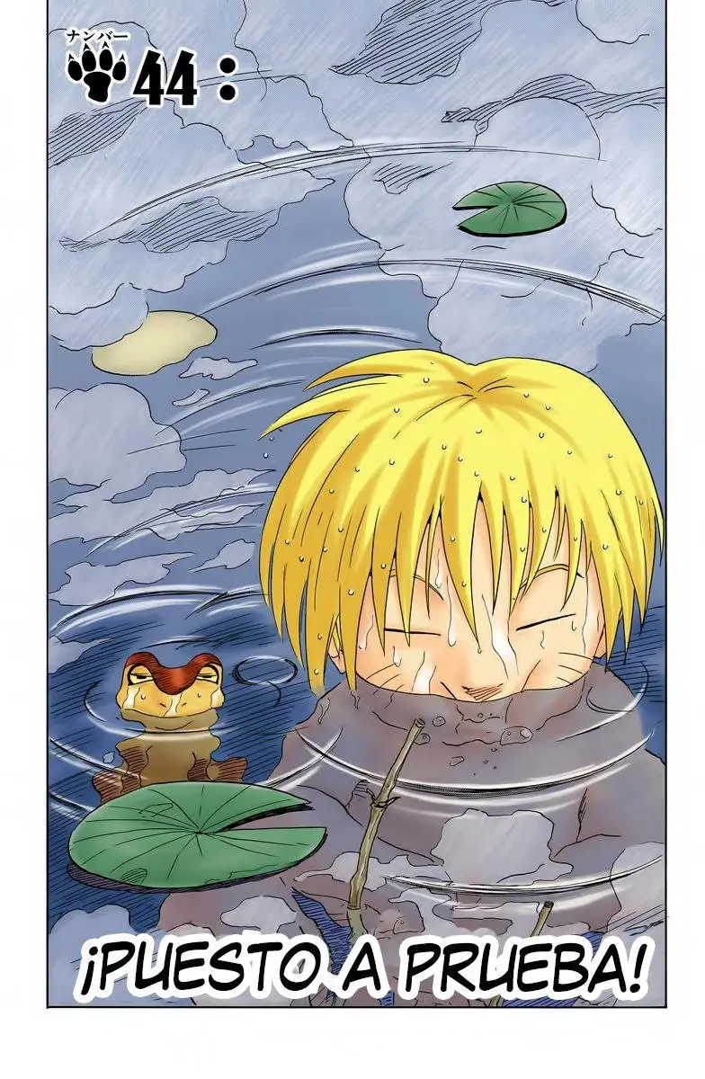 Naruto Color (1999) - Capítulo 44 - Página 1 - LectorTMOo