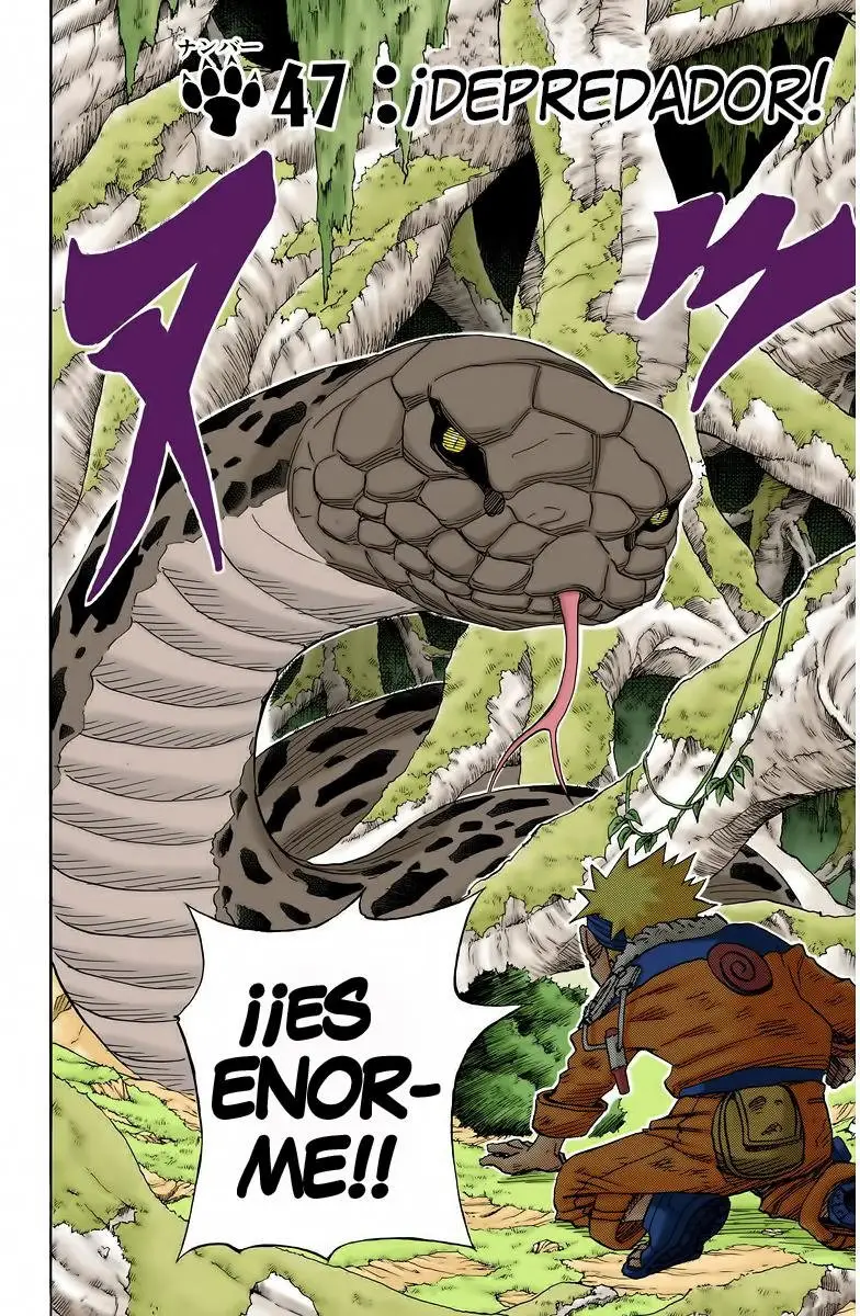 Naruto Color (1999) - Capítulo 47 - Página 2 - LectorTMOo