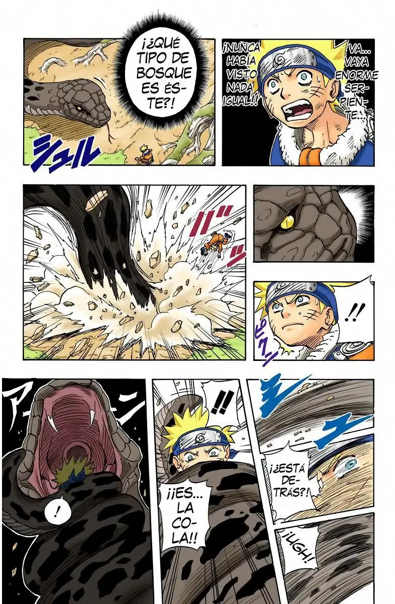 Naruto Color (1999) - Capítulo 47 - Página 3 - LectorTMOo