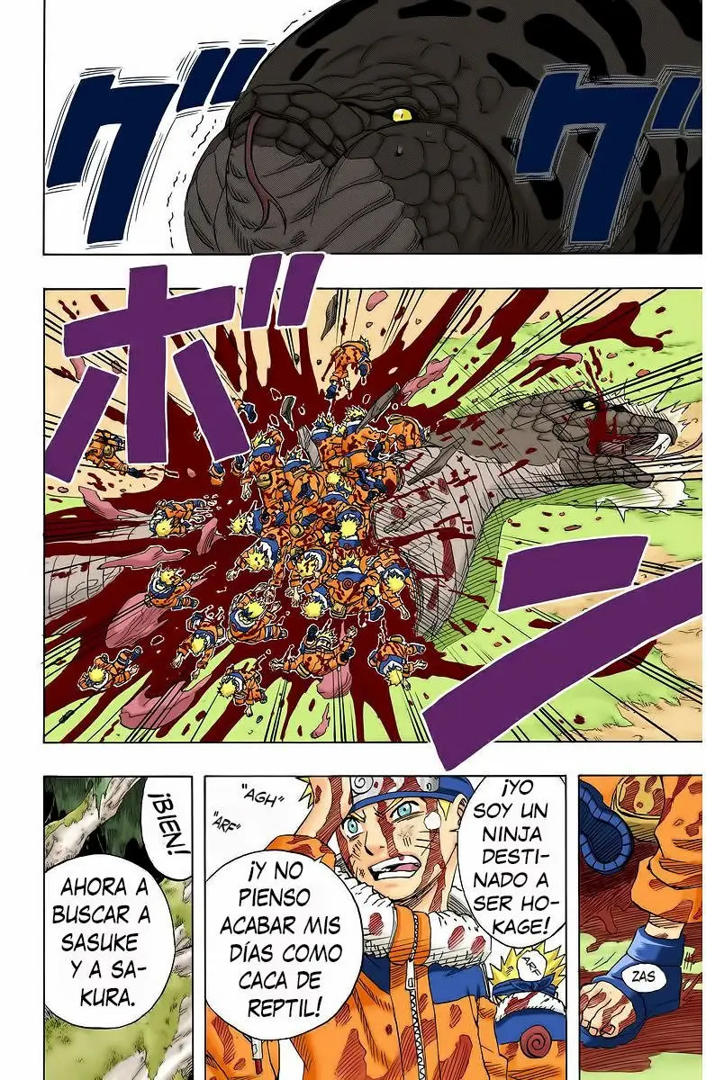 Naruto Color (1999) - Capítulo 47 - Página 14 - LectorTMOo