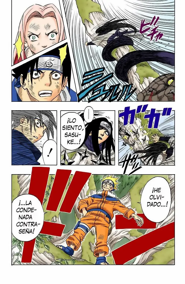 Naruto Color (1999) - Capítulo 47 - Página 19 - LectorTMOo