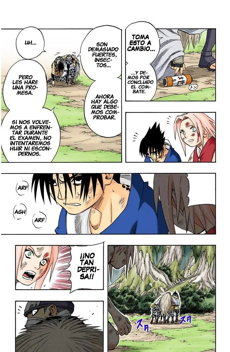 Naruto Color (1999) - Capítulo 56 - Página 17 - LectorTMOo
