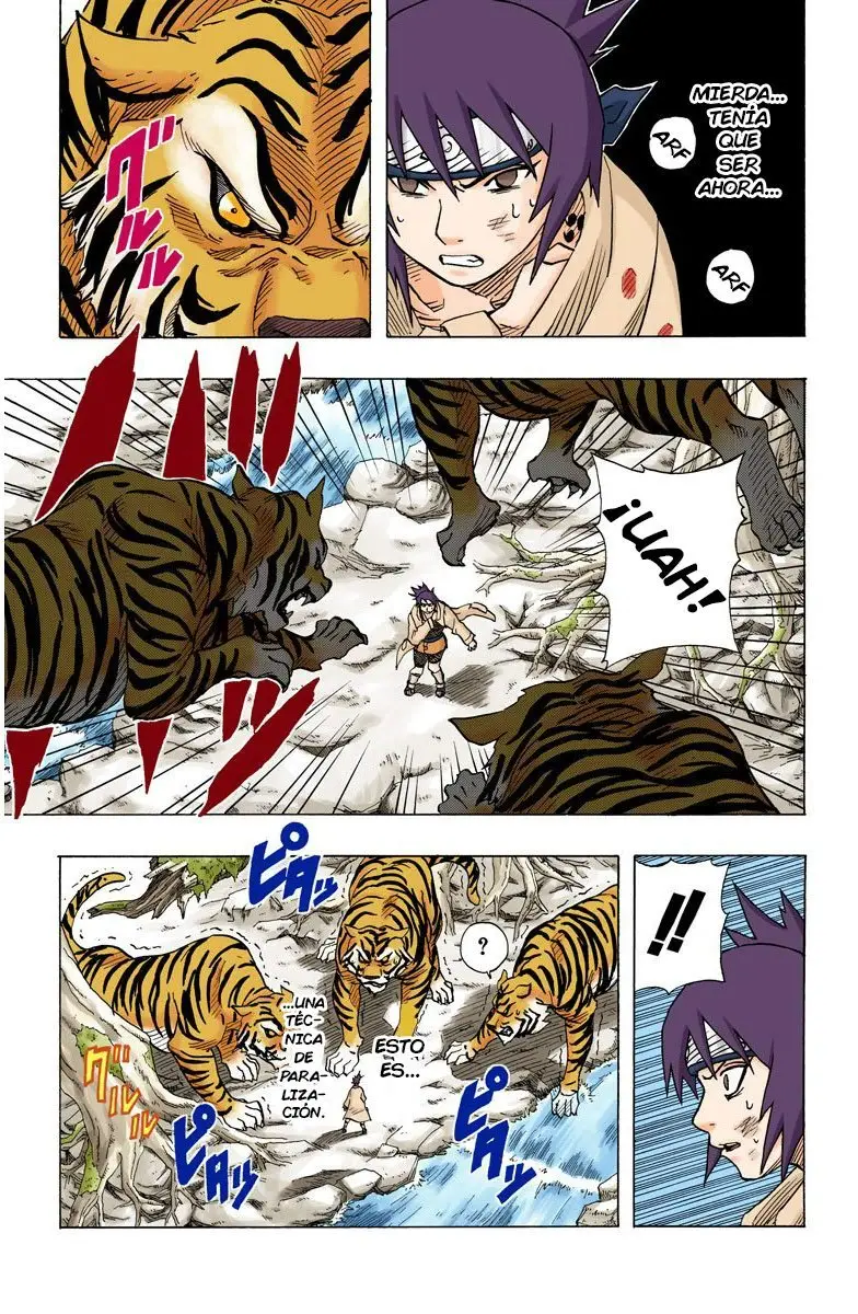 Naruto Color (1999) - Capítulo 57 - Página 13 - LectorTMOo