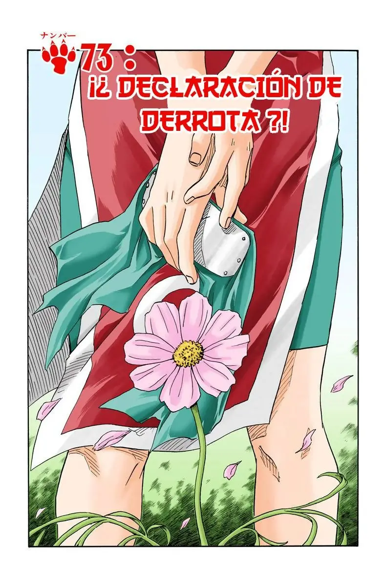 Naruto Color (1999) - Capítulo 73 - Página 6 - LectorTMOo