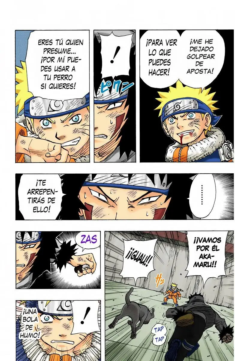 Naruto Color (1999) - Capítulo 75 - Página 13 - LectorTMOo