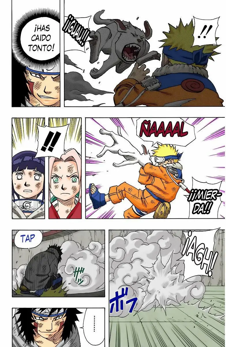 Naruto Color (1999) - Capítulo 75 - Página 15 - LectorTMOo