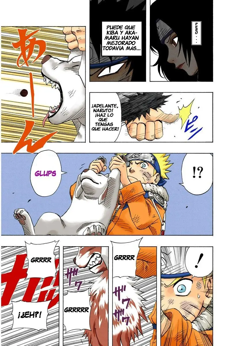 Naruto Color (1999) - Capítulo 76 - Página 3 - LectorTMOo